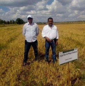 Meet your Posher, Rodrigo